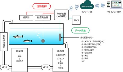 養魚設備